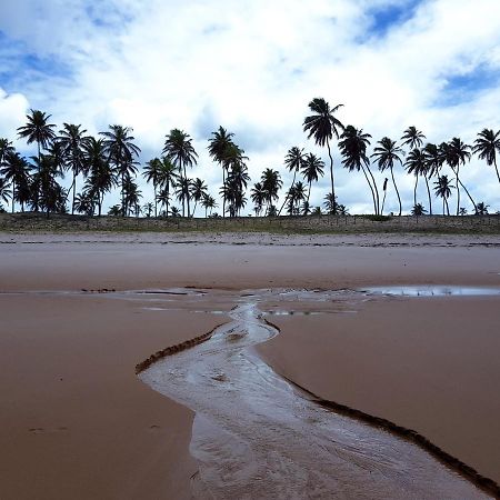 Rosagash Paradise - Praia De Santo Antonio Mata de Sao Joao Luaran gambar