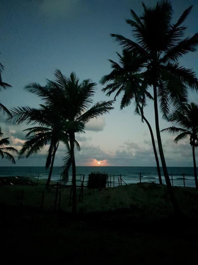 Rosagash Paradise - Praia De Santo Antonio Mata de Sao Joao Luaran gambar