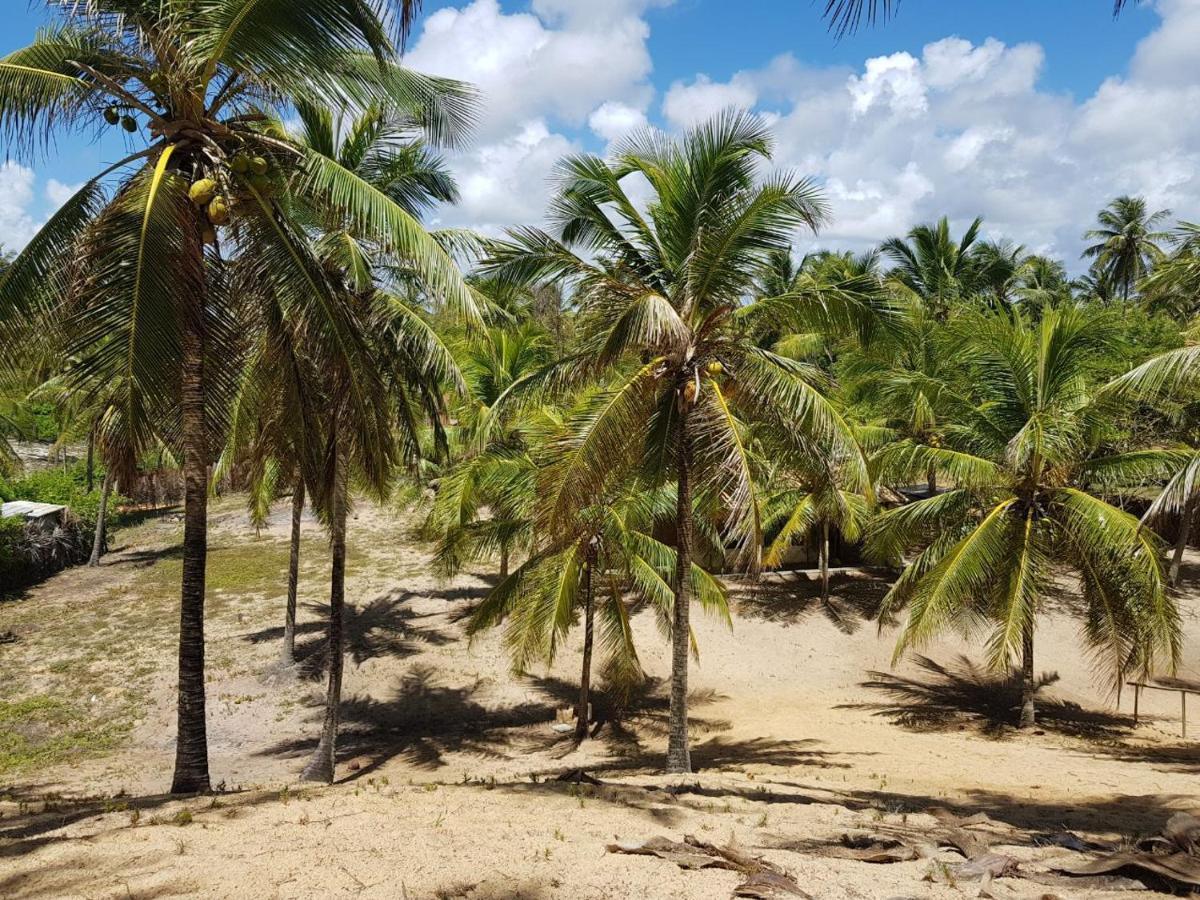 Rosagash Paradise - Praia De Santo Antonio Mata de Sao Joao Luaran gambar